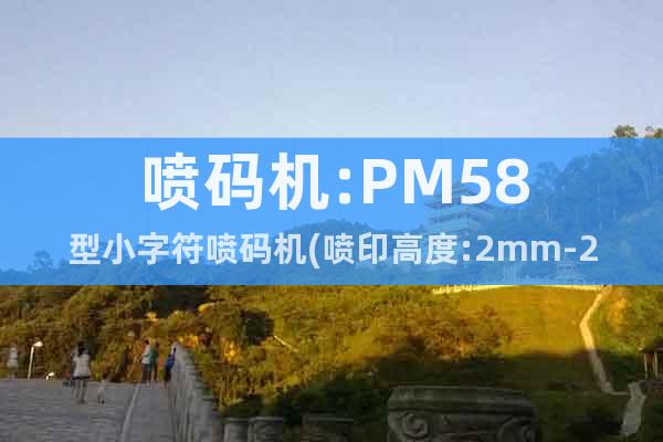 噴碼機:PM58型小字符噴碼機(噴印高度:2mm-20mm)