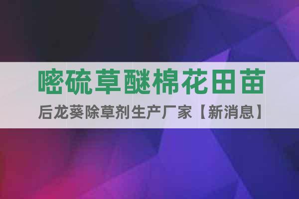 嘧硫草醚棉花田苗后龍葵除草劑生產(chǎn)廠家【新消息】