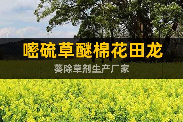 嘧硫草醚棉花田龍葵除草劑生產(chǎn)廠家
