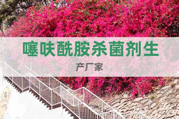 噻呋酰胺殺菌劑生產(chǎn)廠家
