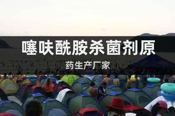 噻呋酰胺殺菌劑原藥生產廠家