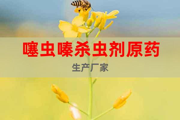 噻蟲嗪殺蟲劑原藥生產(chǎn)廠家