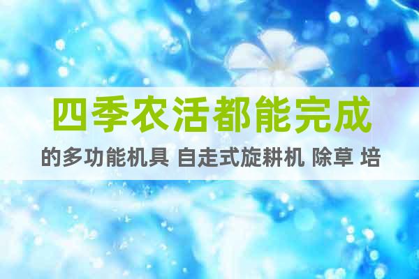 四季農(nóng)活都能完成的多功能機(jī)具 自走式旋耕機(jī) 除草 培土 施肥