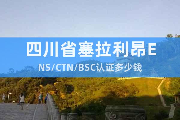四川省塞拉利昂ENS/CTN/BSC認(rèn)證多少錢