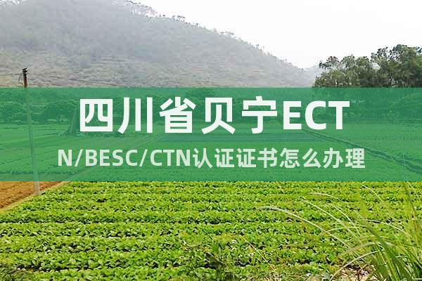四川省贝宁ECTN/BESC/CTN认证证书怎么办理