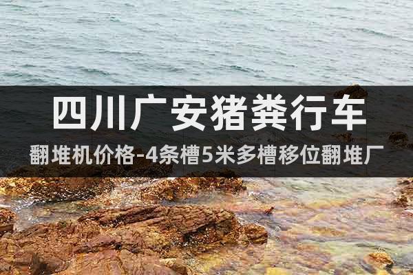 四川廣安豬糞行車翻堆機價格-4條槽5米多槽移位翻堆廠家詳解