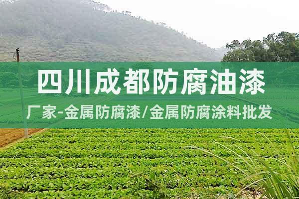 四川成都防腐油漆廠家-金屬防腐漆/金屬防腐涂料批發(fā)