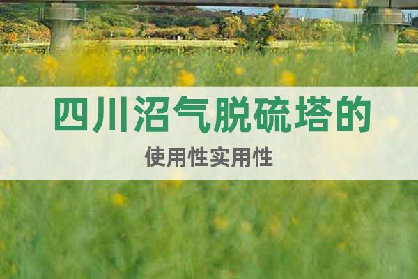 四川沼氣脫硫塔的使用性實(shí)用性