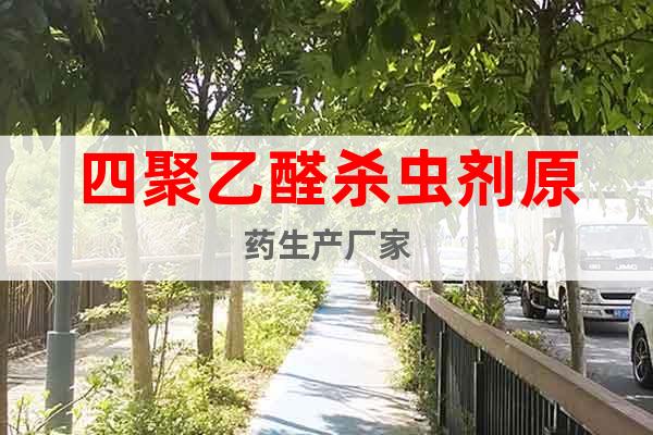 四聚乙醛殺蟲劑原藥生產(chǎn)廠家