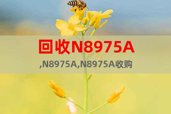 回收N8975A,N8975A,N8975A收購