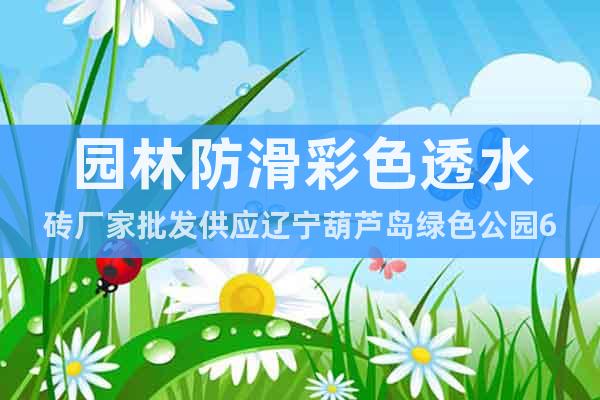 园林防滑彩色透水砖厂家批发供应辽宁葫芦岛绿色公园6