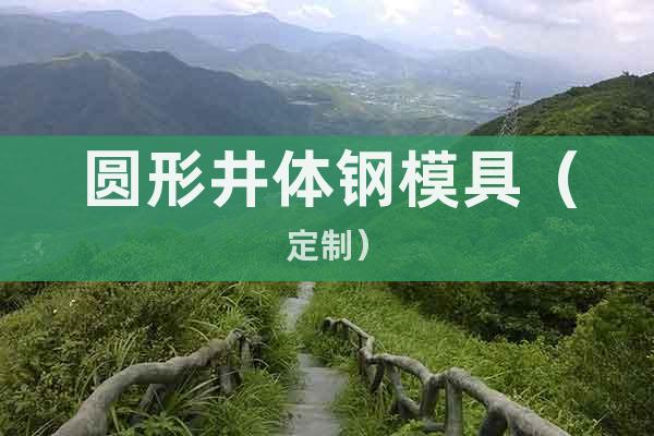 圓形井體鋼模具（定制）