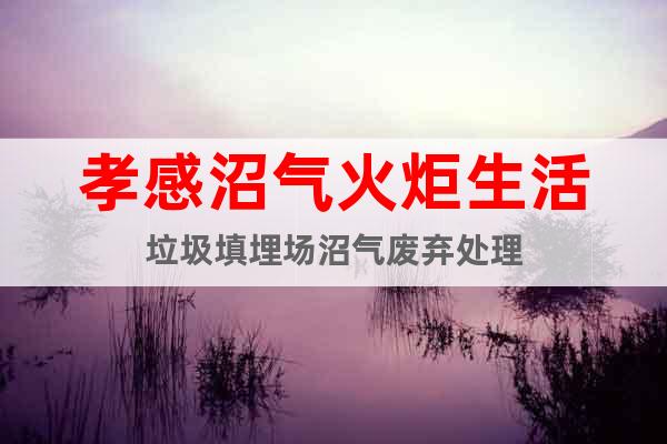 孝感沼氣火炬生活垃圾填埋場(chǎng)沼氣廢棄處理