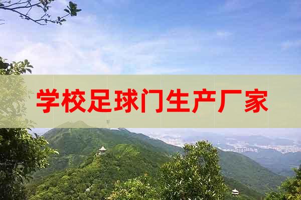學(xué)校足球門(mén)生產(chǎn)廠家
