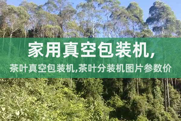 家用真空包裝機,茶葉真空包裝機,茶葉分裝機圖片參數價格