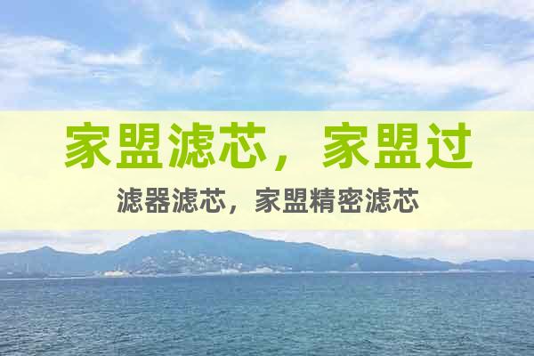 家盟精密濾芯JF-T-700 JF-T-900