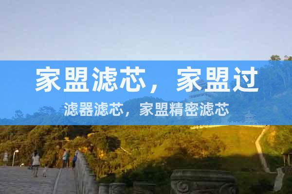 家盟精密濾芯JF-T-900 JF-T-1250