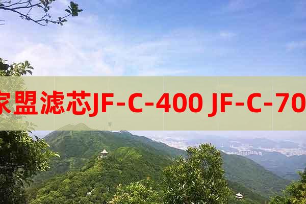家盟滤芯JF-C-400 JF-C-700