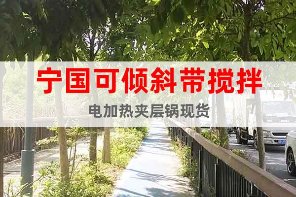 寧國(guó)可傾斜帶攪拌電加熱夾層鍋現(xiàn)貨
