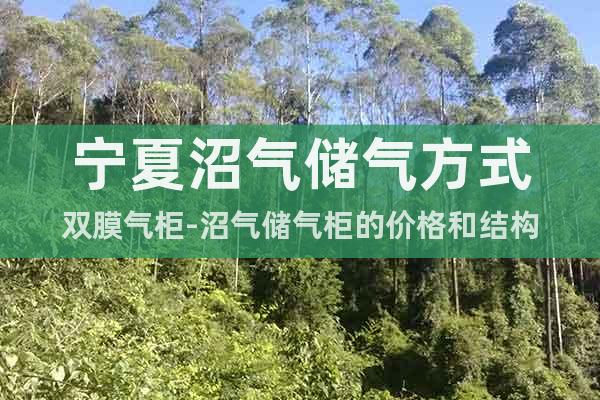 寧夏沼氣儲氣方式雙膜氣柜-沼氣儲氣柜的價格和結(jié)構(gòu)