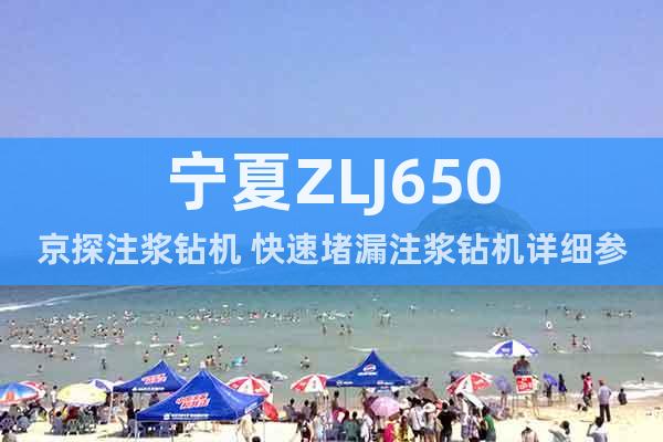 寧夏ZLJ650京探注漿鉆機 快速堵漏注漿鉆機詳細參數(shù)