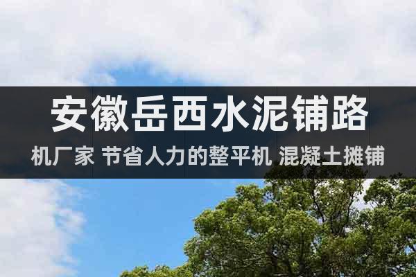 安徽岳西水泥鋪路機(jī)廠家 節(jié)省人力的整平機(jī) 混凝土攤鋪機(jī)圖片
