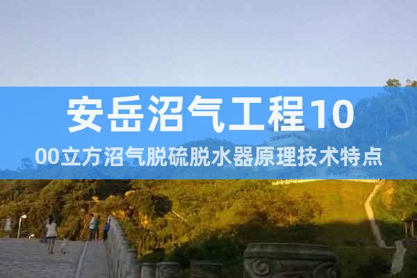 安岳沼氣工程1000立方沼氣脫硫脫水器原理技術(shù)特點(diǎn)