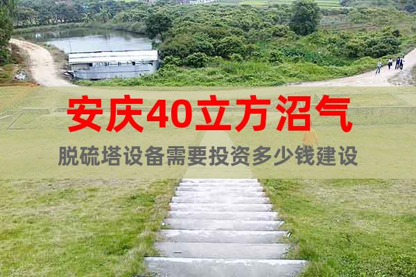 安庆40立方沼气脱硫塔设备需要投资多少钱建设