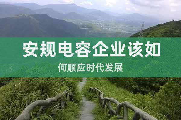 安規(guī)電容企業(yè)該如何順應(yīng)時(shí)代發(fā)展
