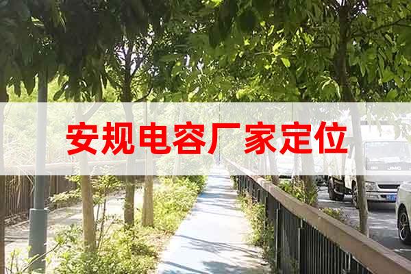 安規(guī)電容廠家定位