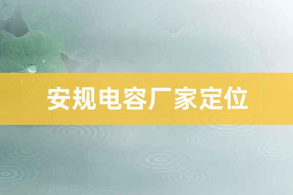 安規(guī)電容廠家定位