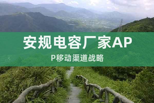 安規(guī)電容廠家APP移動渠道戰(zhàn)略