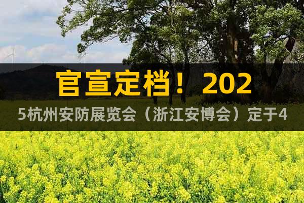 “AI賦能·共享城市安全”2025杭州安防產(chǎn)品展·浙江安博會