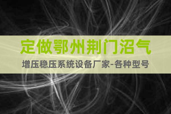 定做鄂州荊門沼氣增壓穩(wěn)壓系統(tǒng)設(shè)備廠家-各種型號