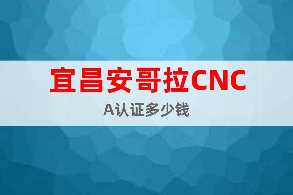 宜昌安哥拉CNCA认证多少钱