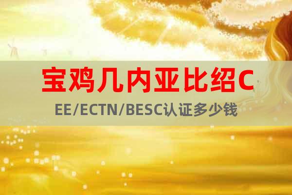 宝鸡几内亚比绍CEE/ECTN/BESC认证多少钱