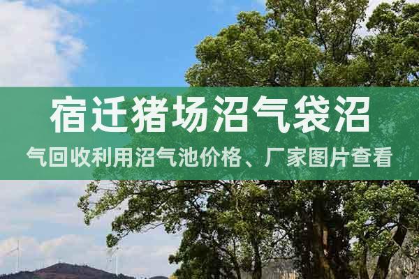 宿遷豬場沼氣袋沼氣回收利用沼氣池價格、廠家圖片查看