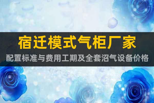 宿遷模式氣柜廠家配置標(biāo)準(zhǔn)與費用工期及全套沼氣設(shè)備價格