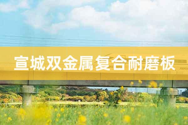 宣城雙金屬復(fù)合耐磨板