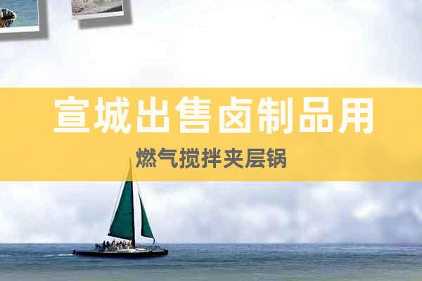 宣城出售鹵制品用燃?xì)鈹嚢鑺A層鍋