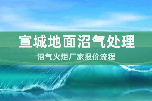 宣城地面沼氣處理沼氣火炬廠家報價流程