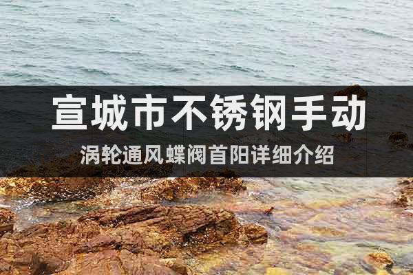 宣城市不銹鋼手動渦輪通風(fēng)蝶閥首陽詳細(xì)介紹