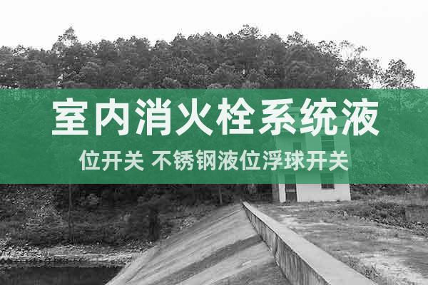 室內(nèi)消火栓系統(tǒng)液位開關(guān) 不銹鋼液位浮球開關(guān)