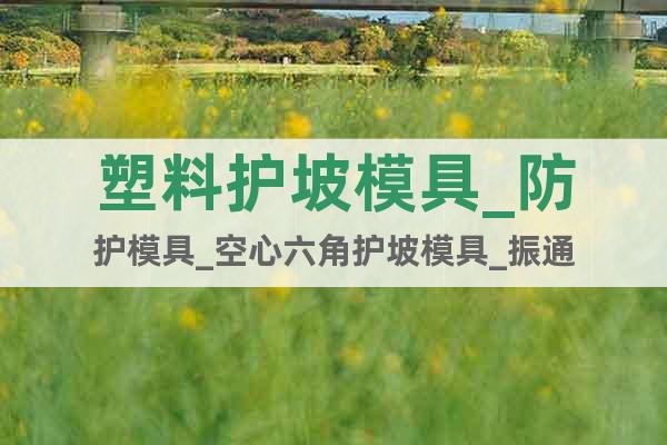 塑料護(hù)坡模具_(dá)防護(hù)模具_(dá)空心六角護(hù)坡模具_(dá)振通