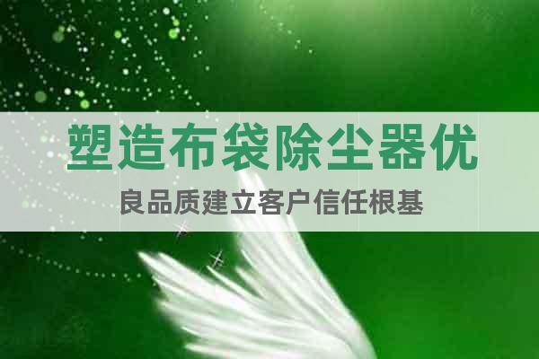 塑造布袋除塵器優(yōu)良品質(zhì)建立客戶信任根基