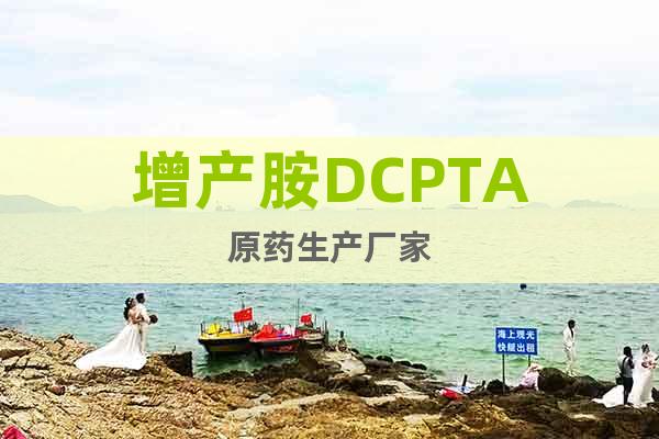 增產(chǎn)胺DCPTA原藥生產(chǎn)廠家