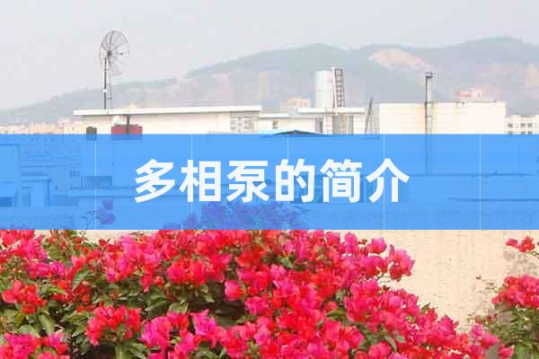多相泵的簡介