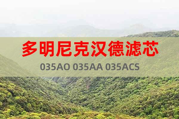 多明尼克漢德濾芯035AO 035AA 035ACS濾芯