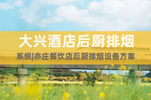 大興酒店后廚排煙系統(tǒng)|亦莊餐飲店后廚排煙設(shè)備方案