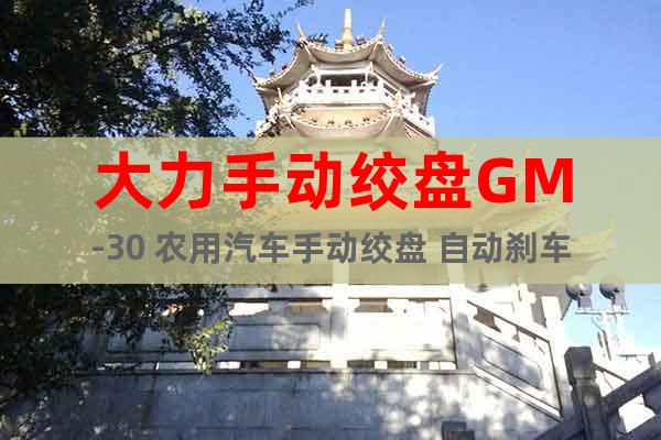大力手動(dòng)絞盤GM-30 農(nóng)用汽車手動(dòng)絞盤 自動(dòng)剎車